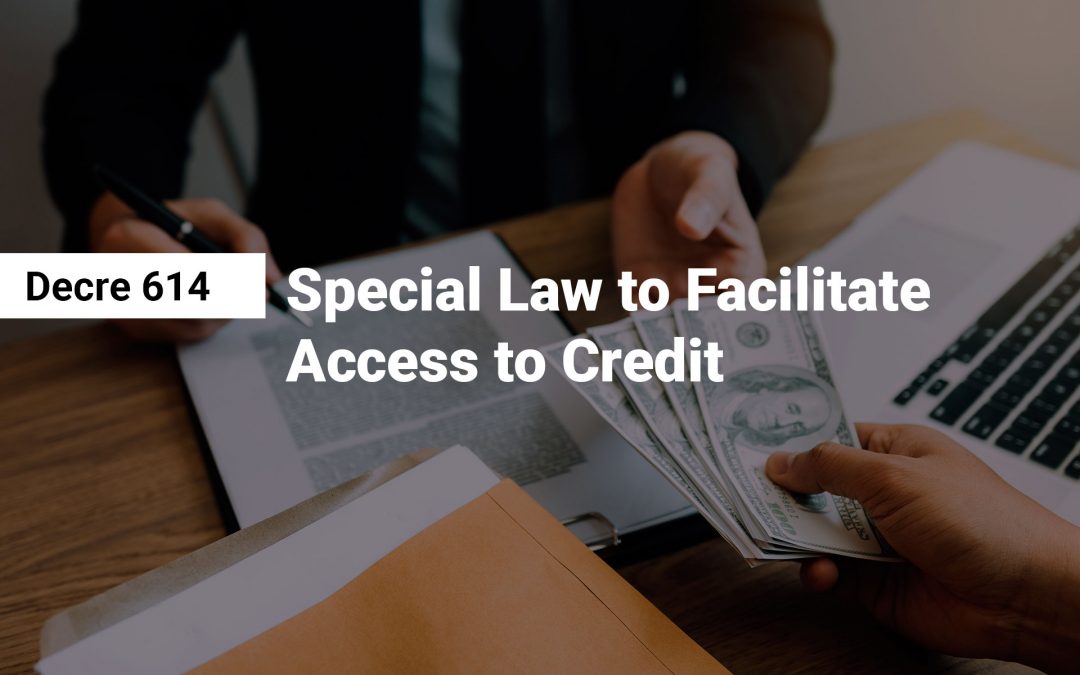 Legislative Decree 614: Special Law to Facilitate Access to Credit
